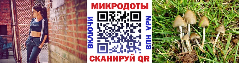 наркотики Якутск Псилоцибиновые грибы Psilocybine cubensis